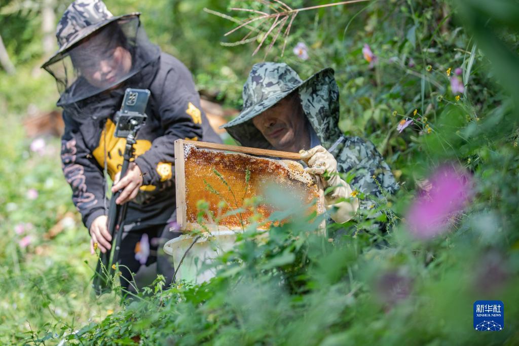 下载赌场娱乐